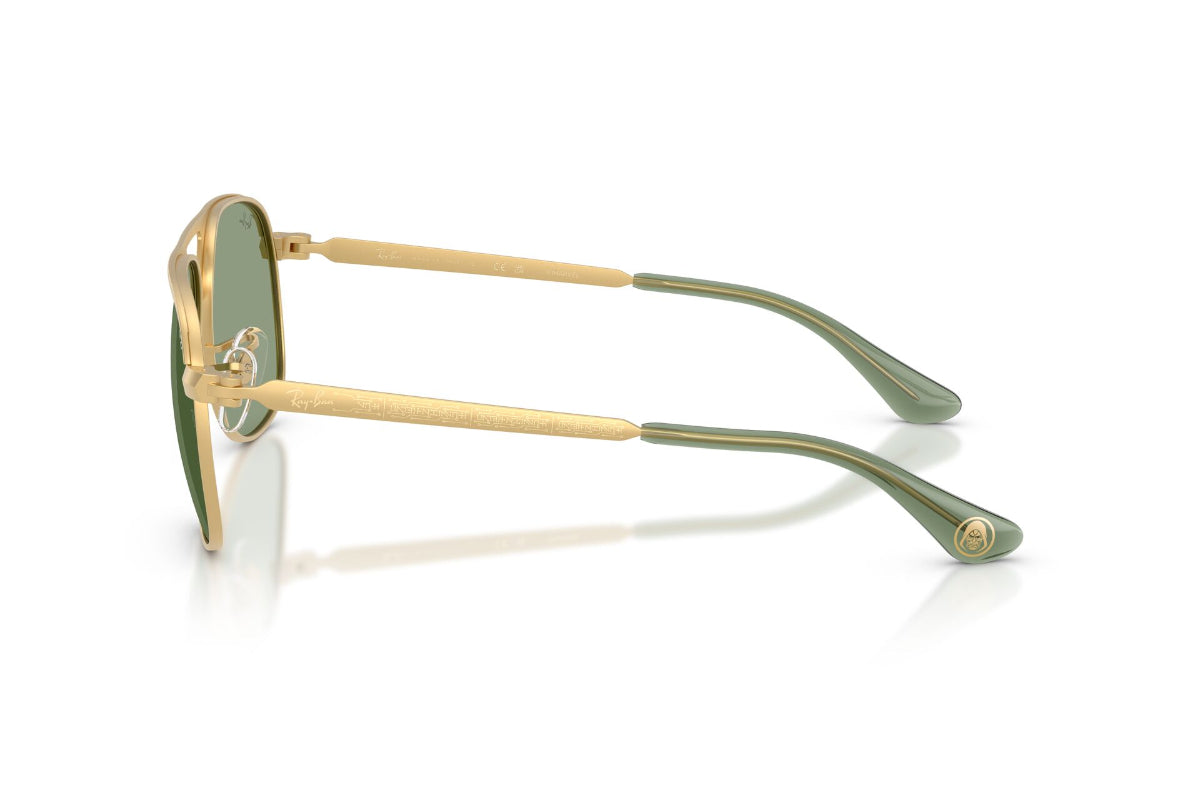 Ray-Ban Lentes de Sol Bill Max RB3793