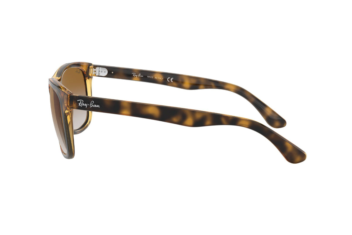 Ray-Ban Lentes de Sol RB4181