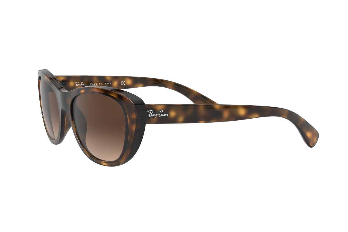 Lentes de Sol Havana Ray-Ban