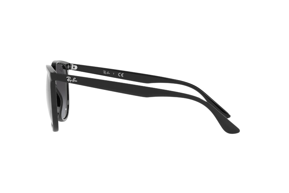 Ray-Ban Lentes de Sol RB4378