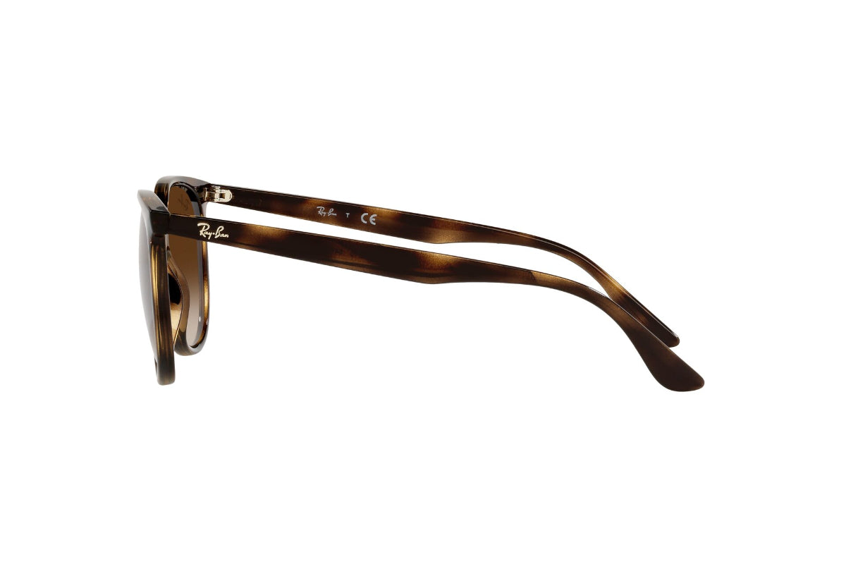 Ray-Ban Lentes de Sol RB4378