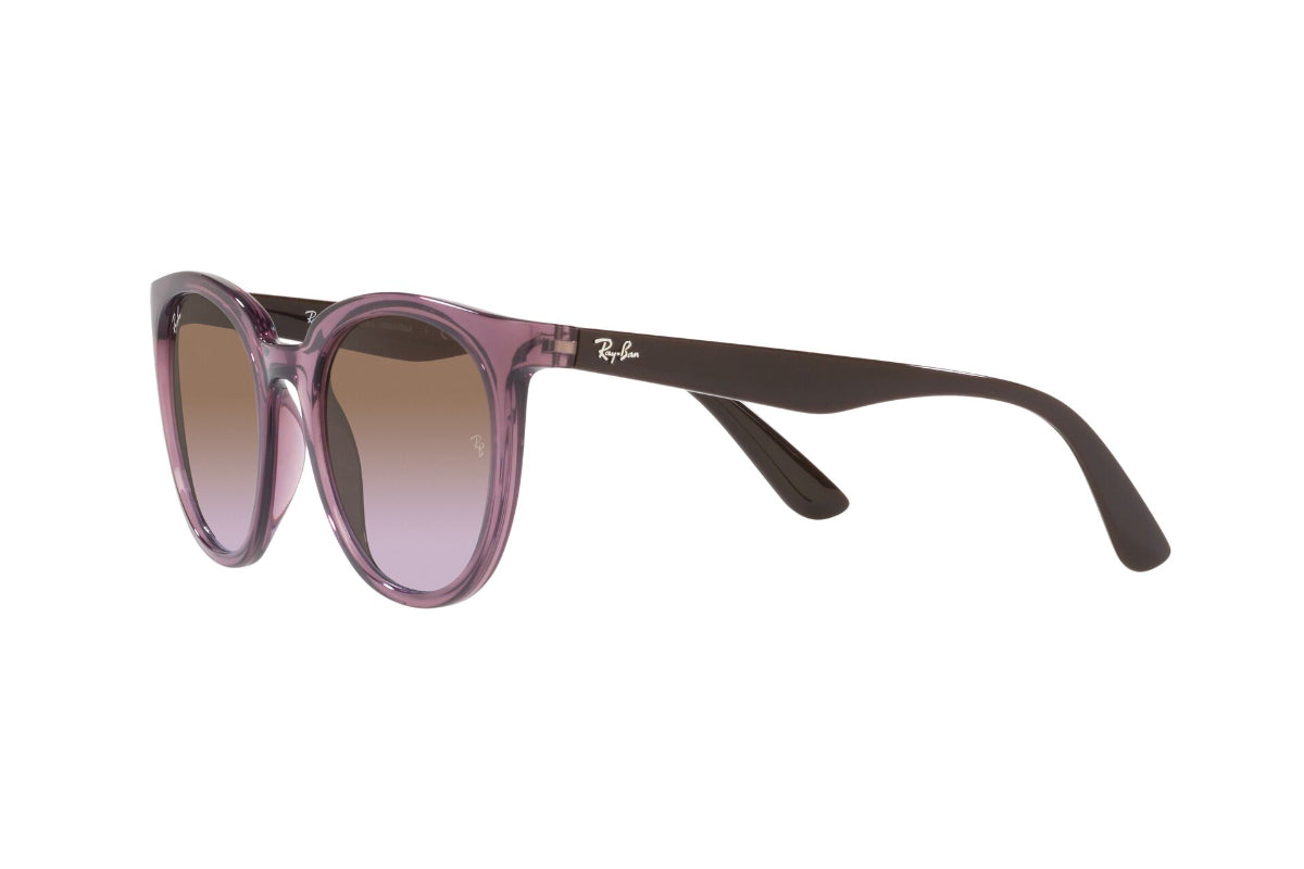 Ray-Ban Lentes de Sol RB4383L