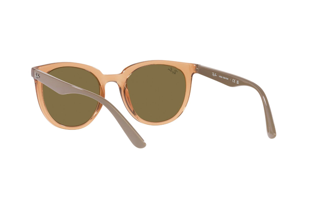 Ray-Ban Lentes de Sol RB4383L