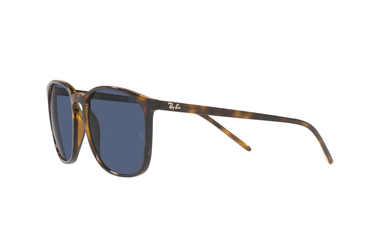 Ray-Ban Lentes de Sol RB4387