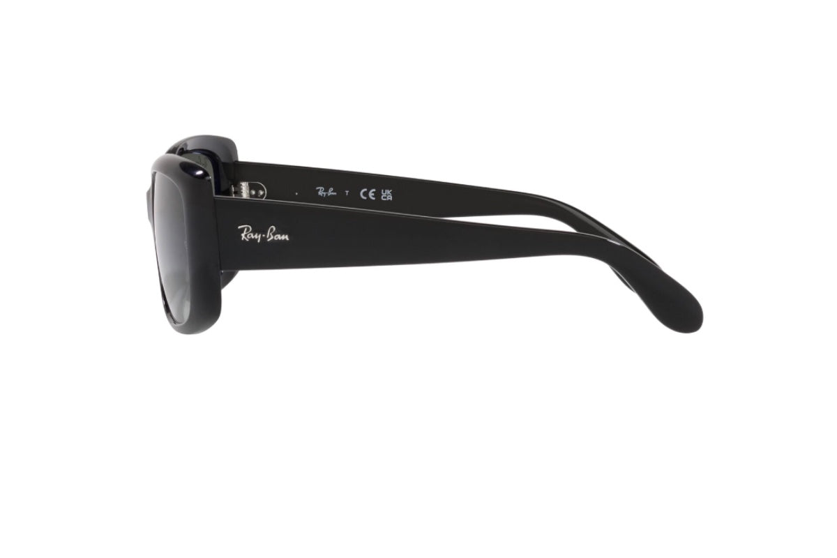 Ray-Ban Lentes de Sol RB4389