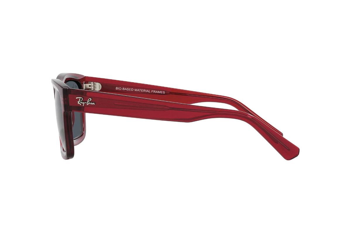 Ray-Ban Lentes de Sol Warren RB4396
