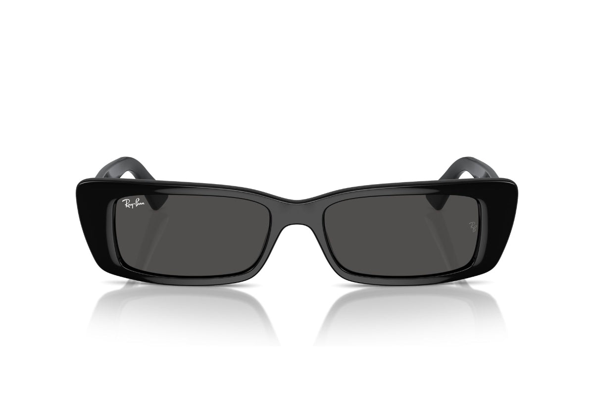 Ray-Ban Lentes de Sol Teru RB4425