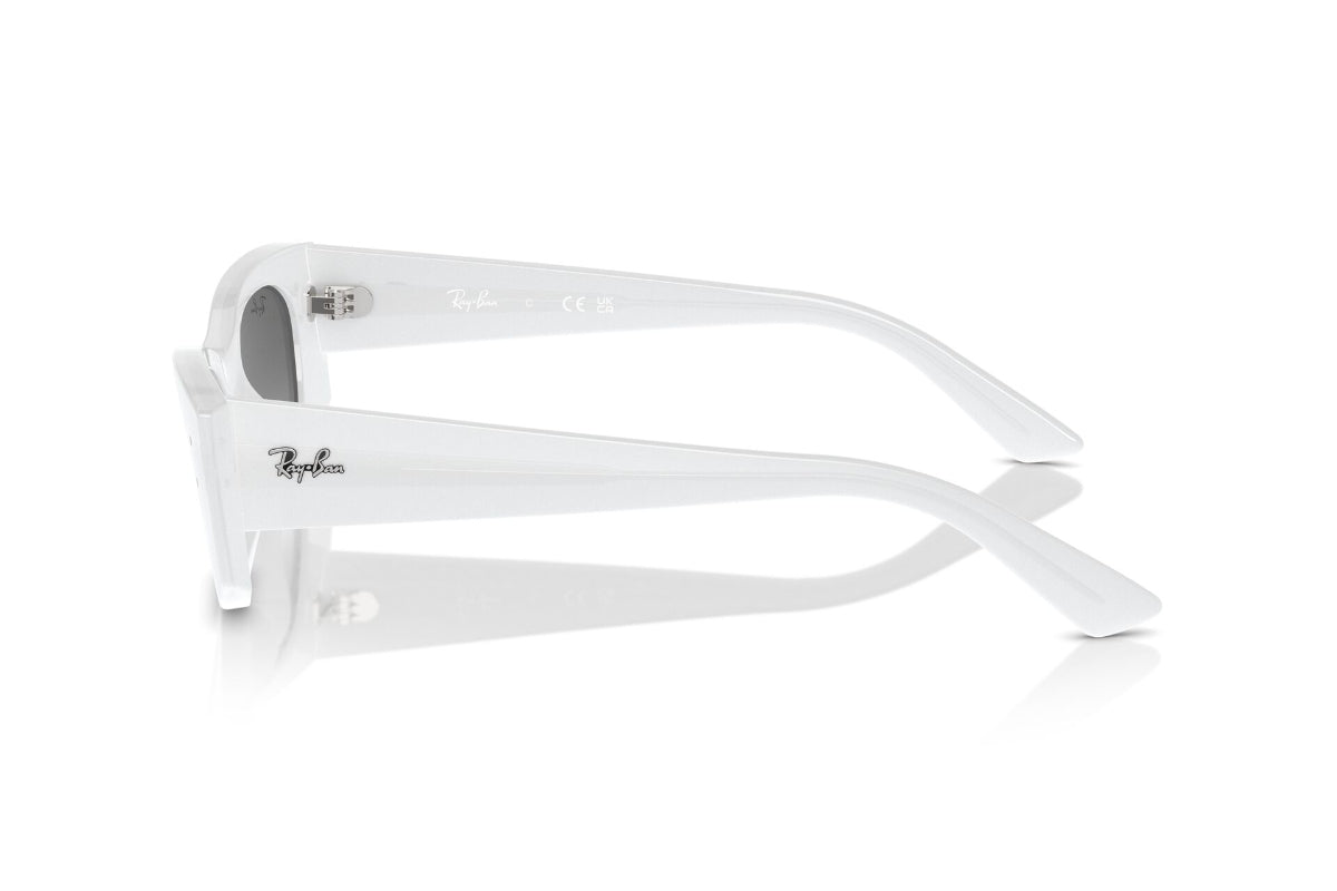 Ray-Ban Lentes de Sol Kat Degradados RB4427