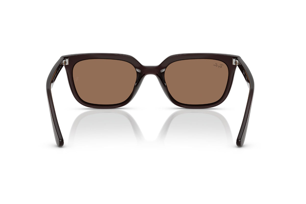 Ray-Ban Lentes de Sol RB4439D