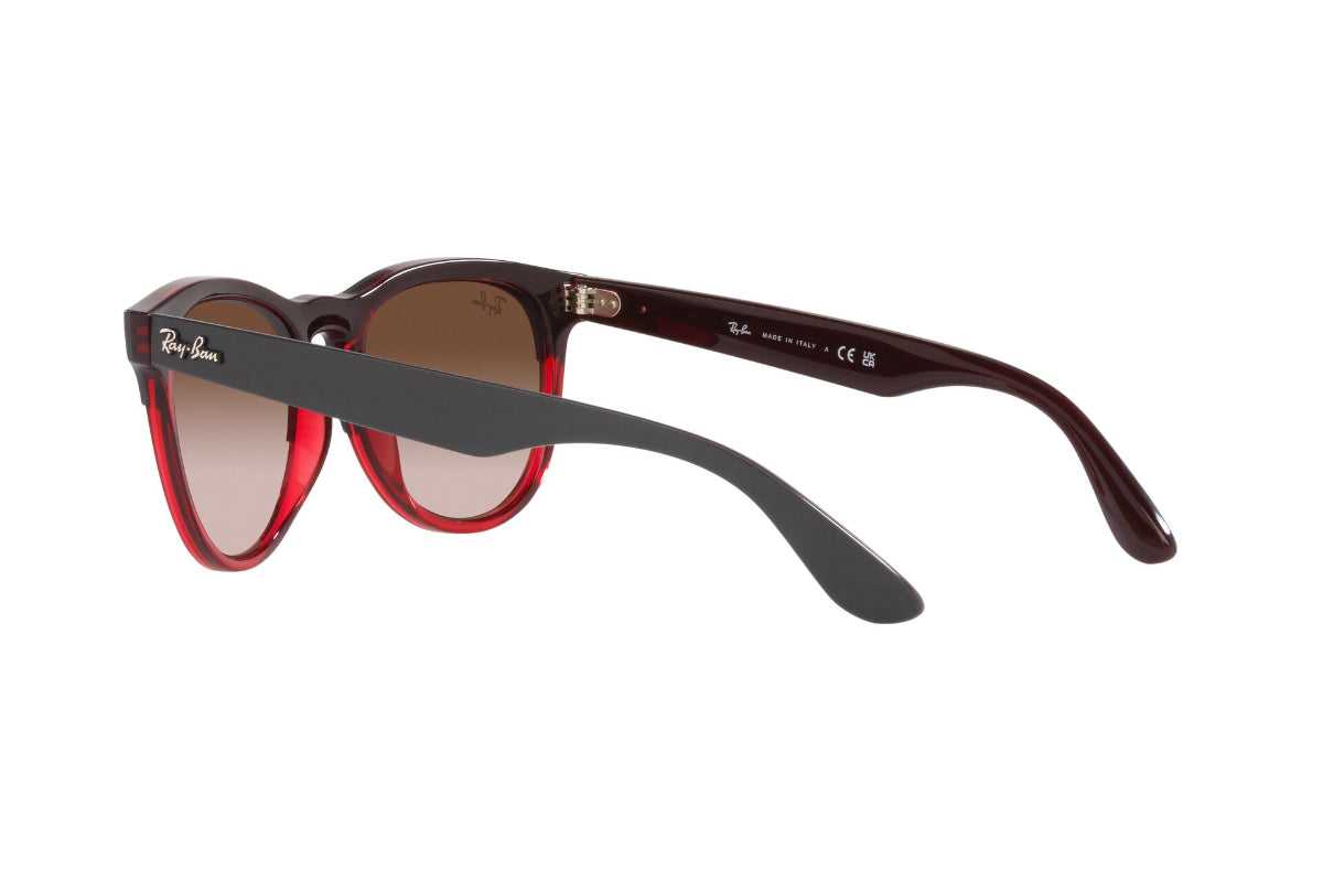Ray-Ban Lentes de Sol Iris RB4471