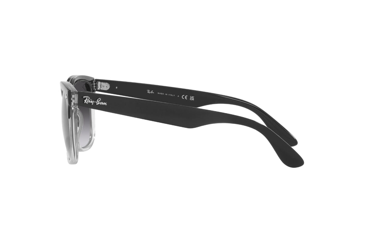 Ray-Ban Lentes de Sol Steve RB4487