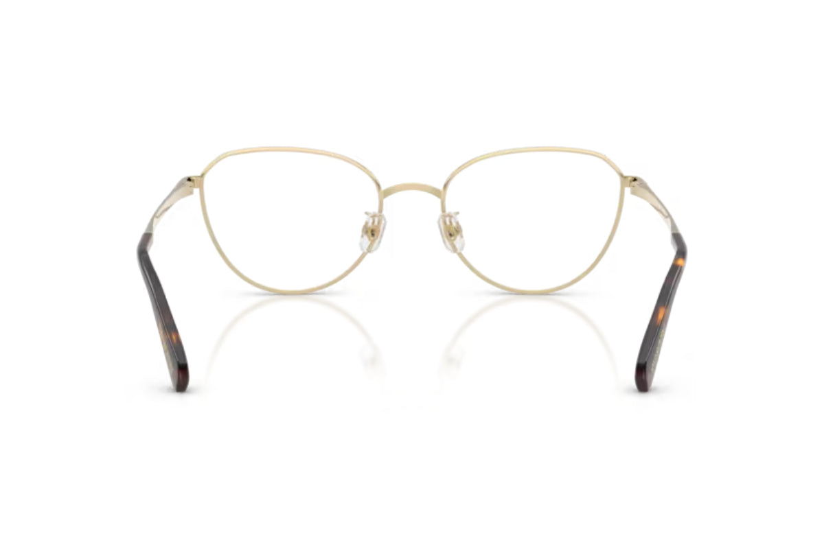 Swarovski Lentes Ópticos SK1029D