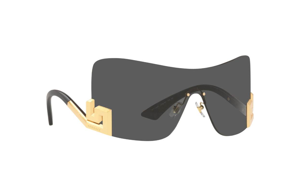 Lentes de Sol Grey Versace
