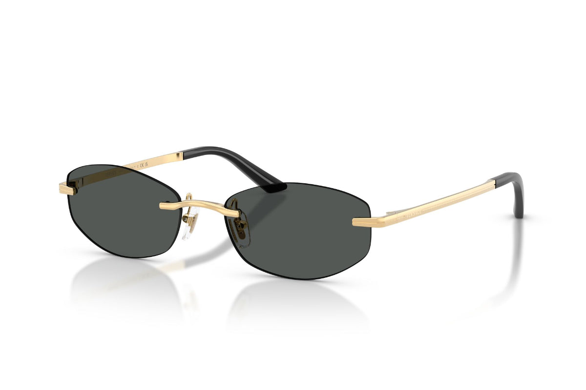Versace Lentes de Sol VE2308D