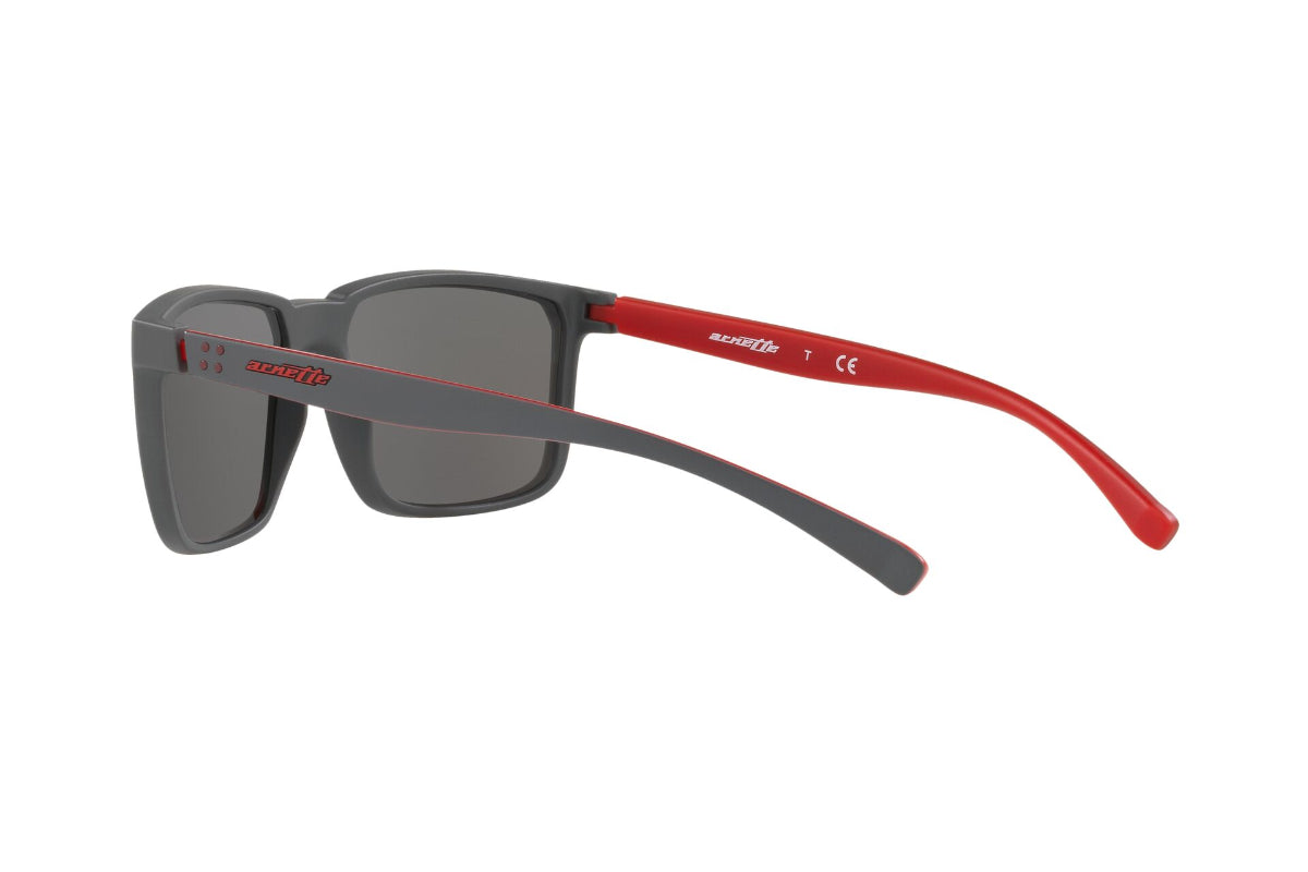 Arnette Lentes de Sol Stripe AN4251