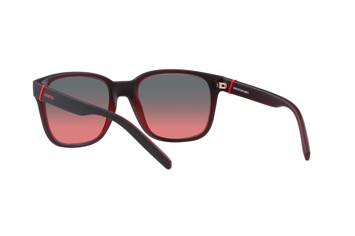 Arnette Lentes de Sol Surry Hills AN4320