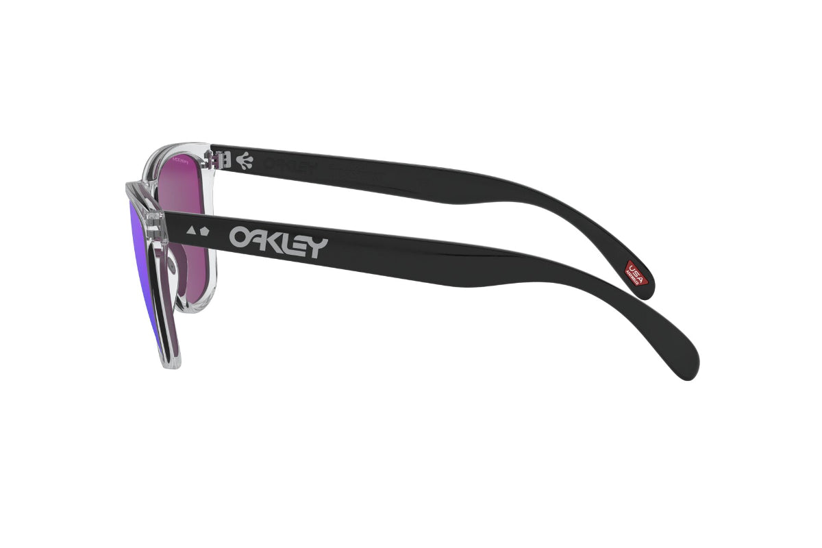 Lentes de Sol Frogskins Negro Oakley