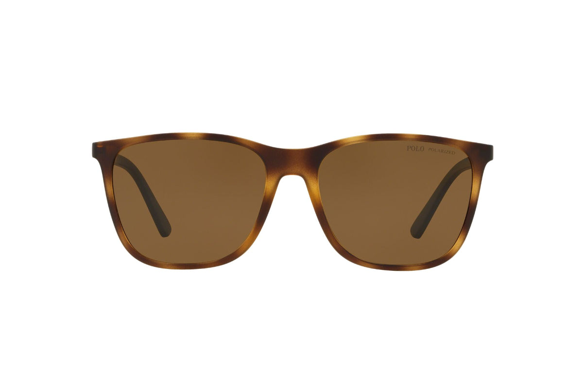 Lentes de Sol Tortoise Polo