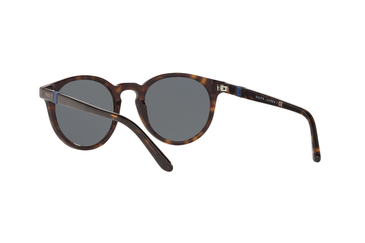 Lentes de Sol Shiny Dark Havana Polo