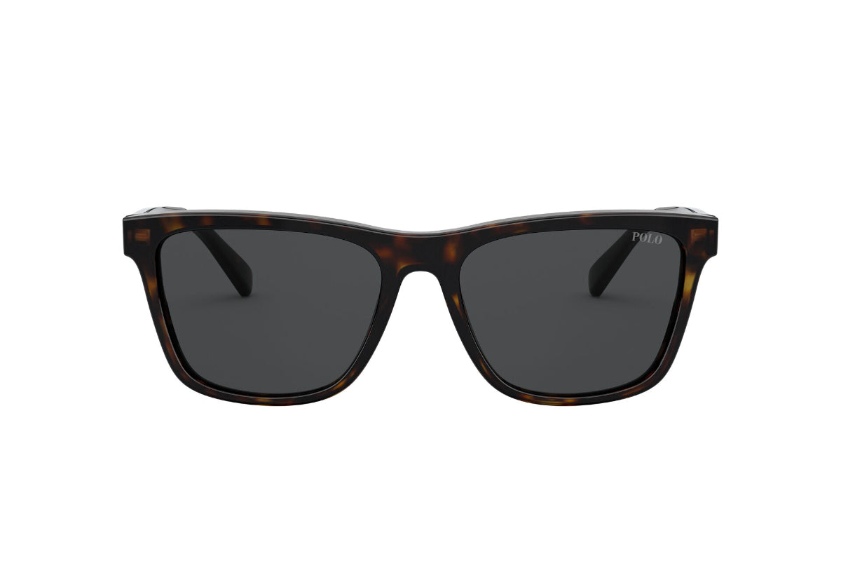 Lentes de Sol Shiny Dark Havana  Polo