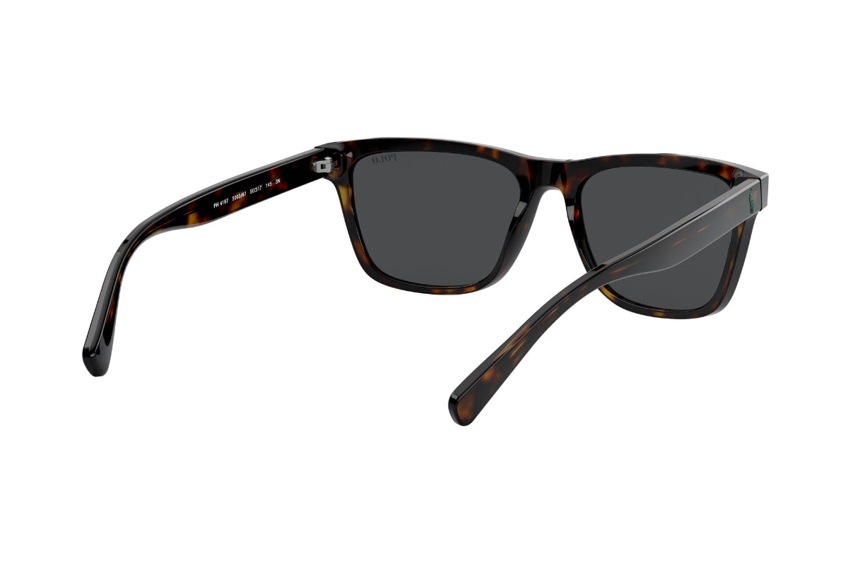 Lentes de Sol Shiny Dark Havana  Polo