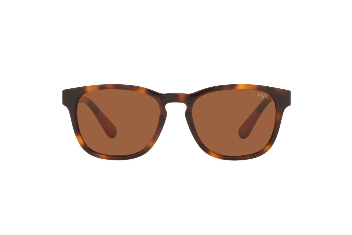 Lentes de Sol Shiny Tortoise Polo Ralph Lauren