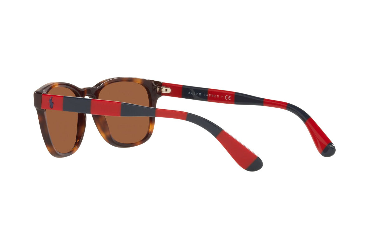 Lentes de Sol Shiny Tortoise Polo Ralph Lauren