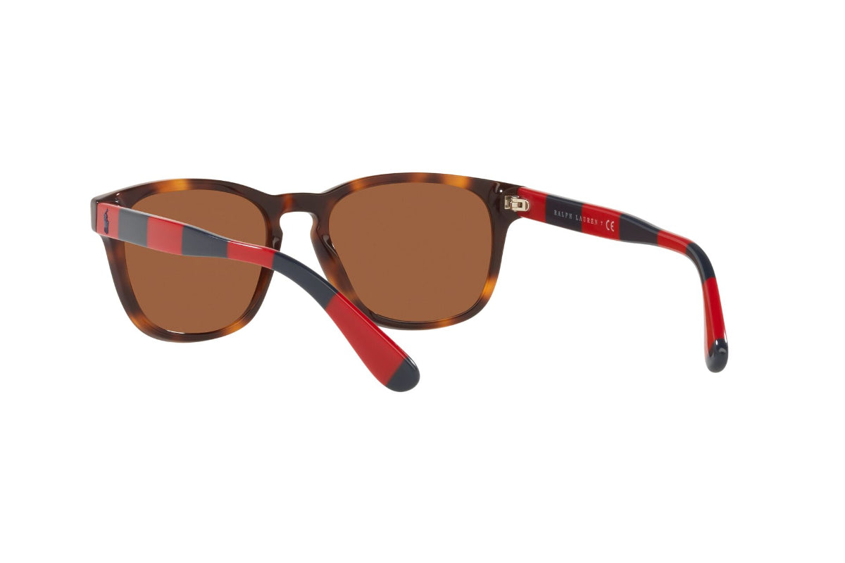 Lentes de Sol Shiny Tortoise Polo Ralph Lauren