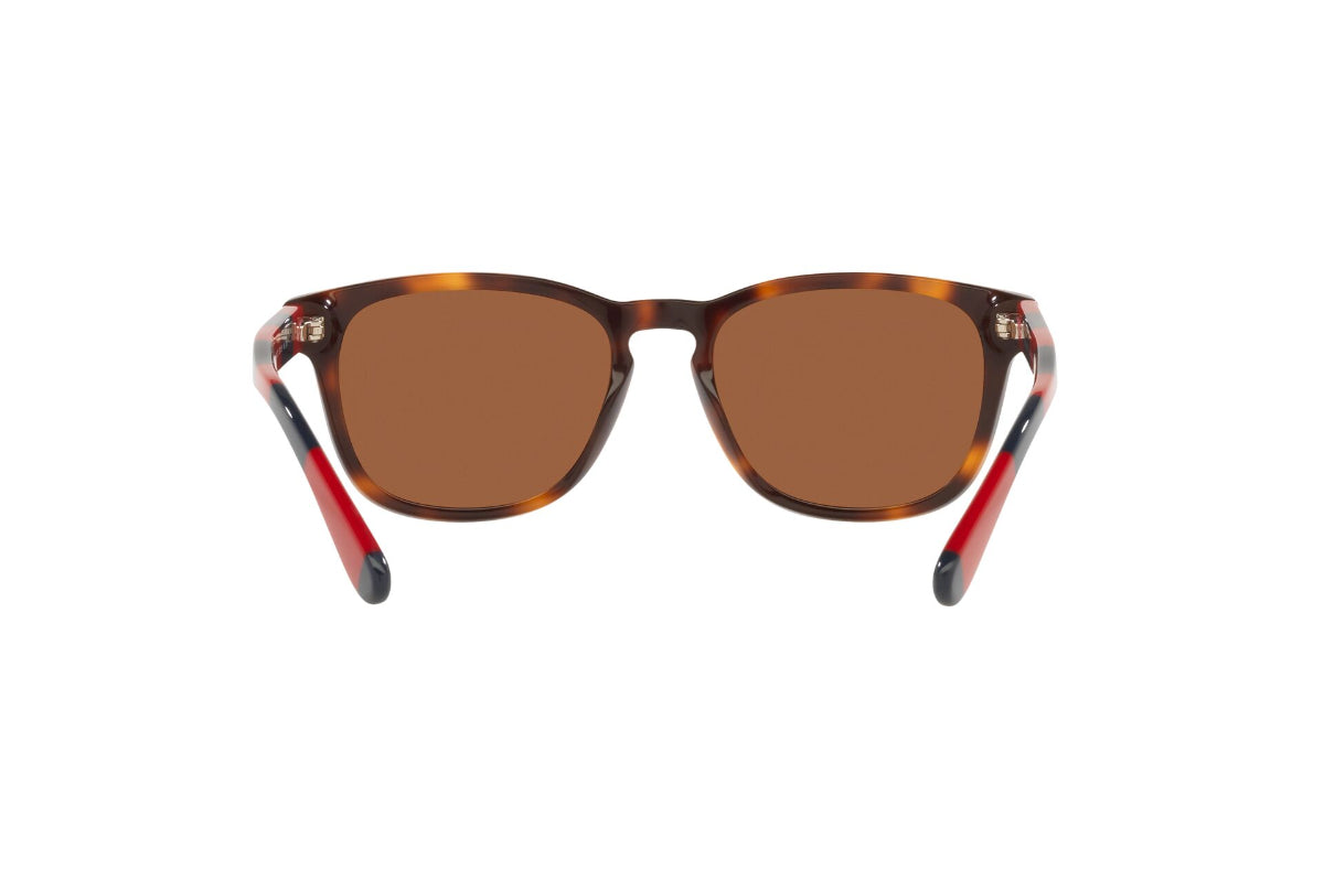 Lentes de Sol Shiny Tortoise Polo Ralph Lauren