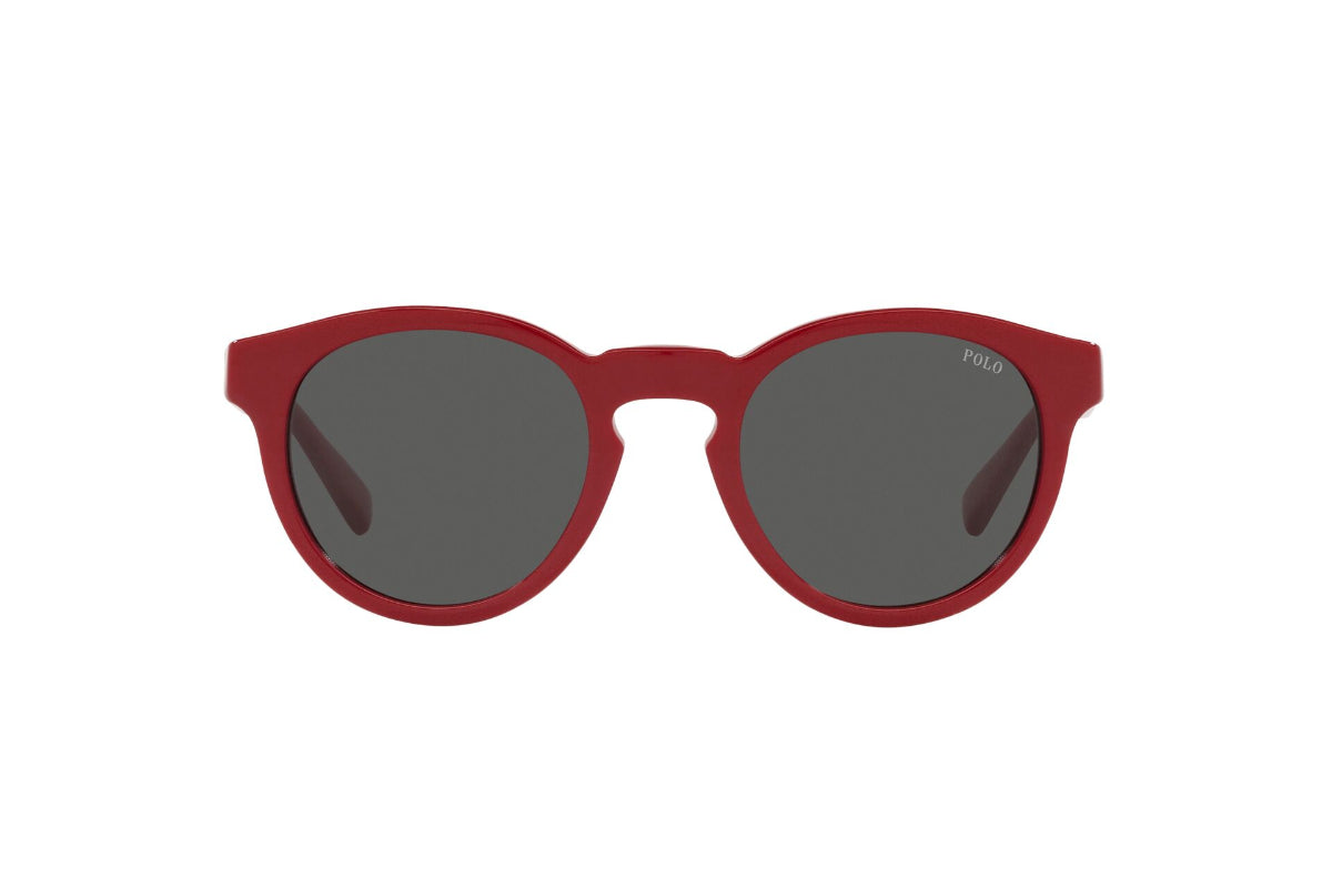 Polo Lentes de Sol PH4184