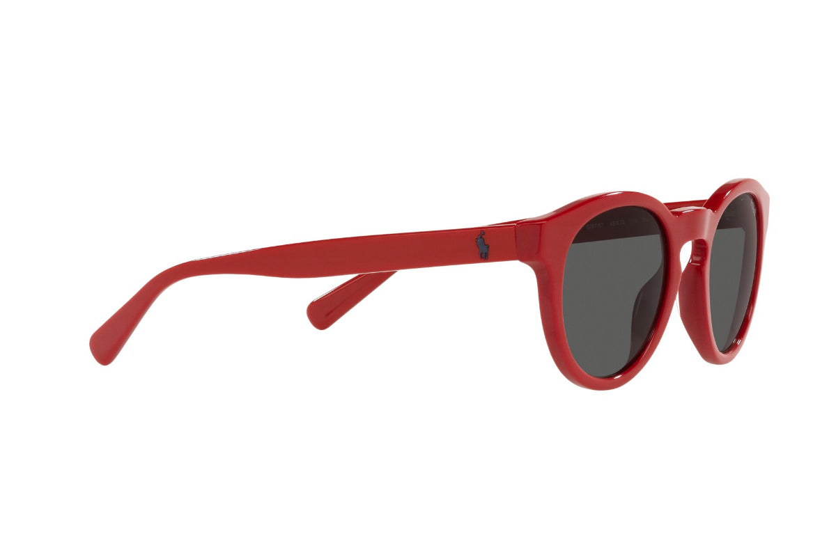 Polo Lentes de Sol PH4184