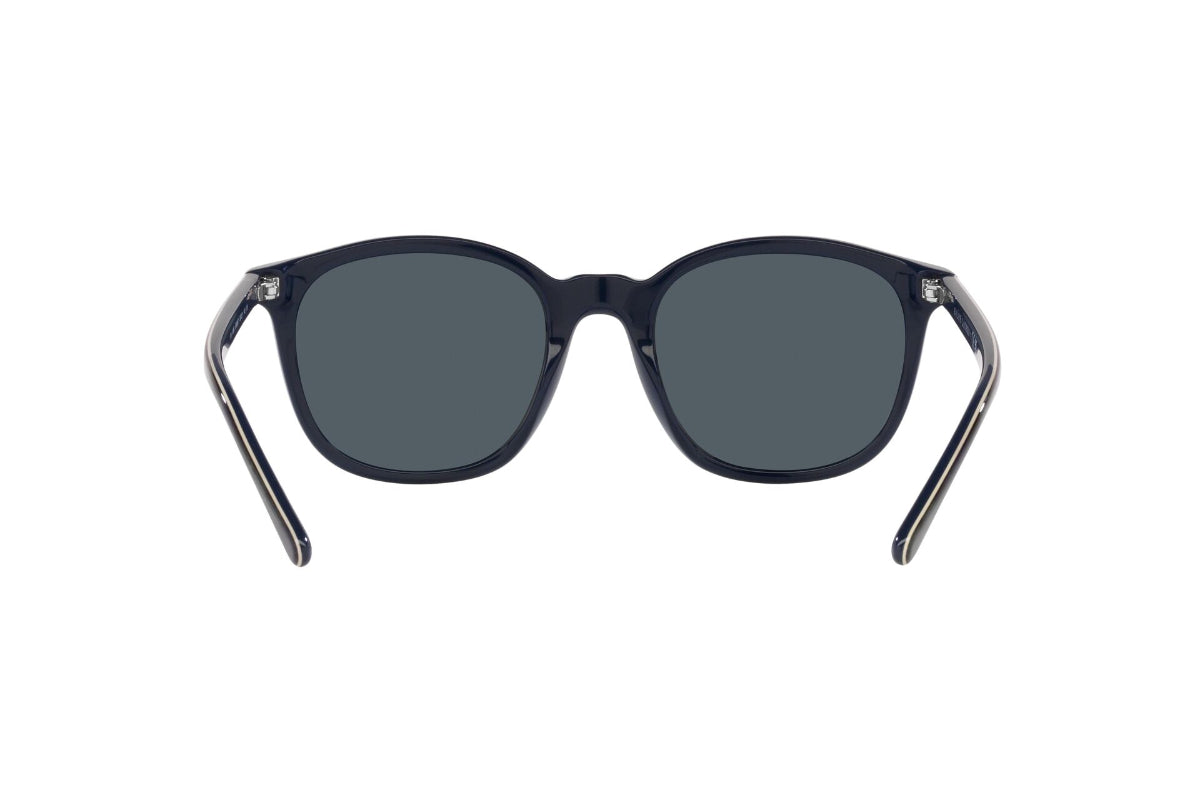 Polo Lentes de Sol PH4188