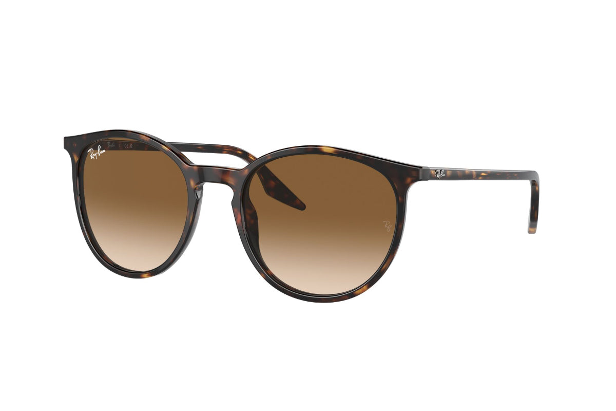 Ray-Ban Lentes de Sol RB2204