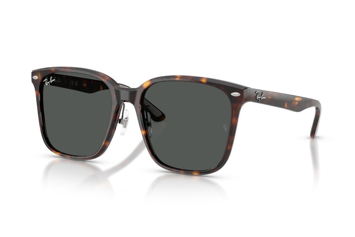 Ray-Ban Lentes de Sol RB2206D