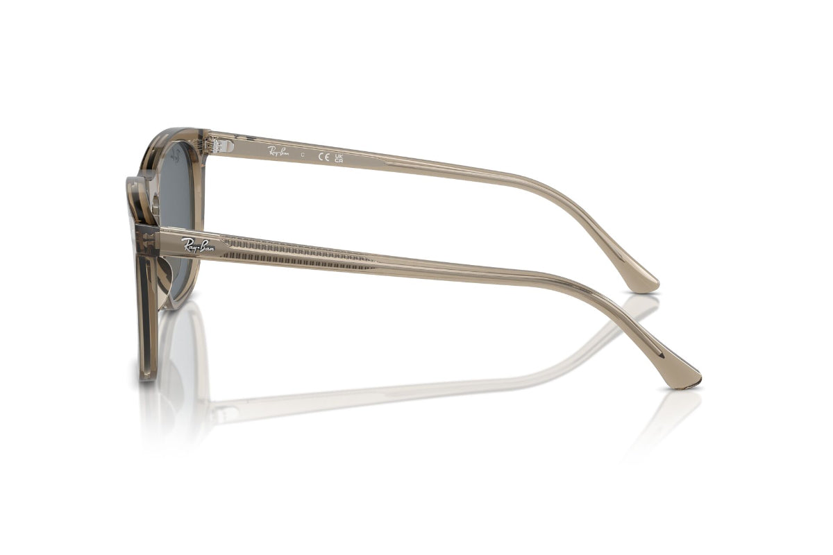 Ray-Ban Lentes de Sol RB2210