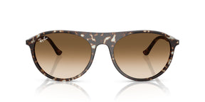 Ray-Ban Lentes de Sol Degradados RB2215