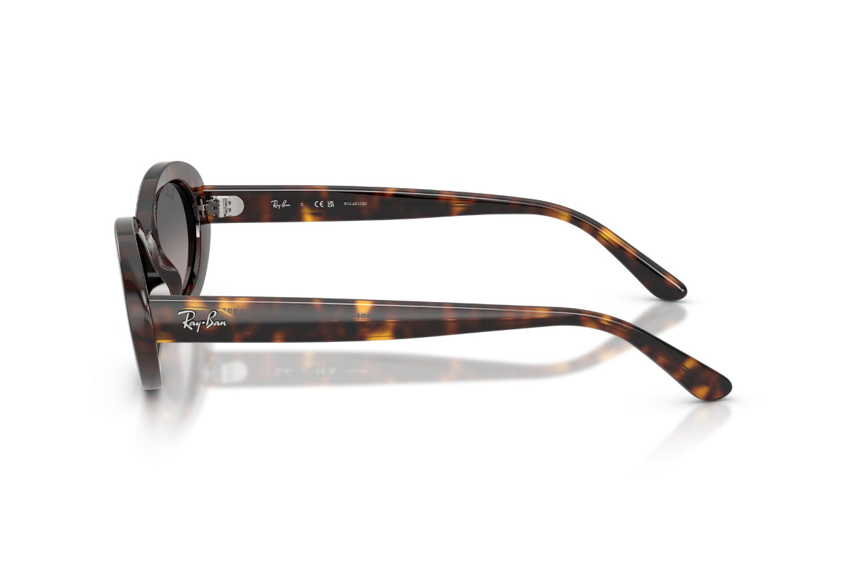 Ray-Ban Lentes de Sol The Bold Polarizados Degradados RB2223