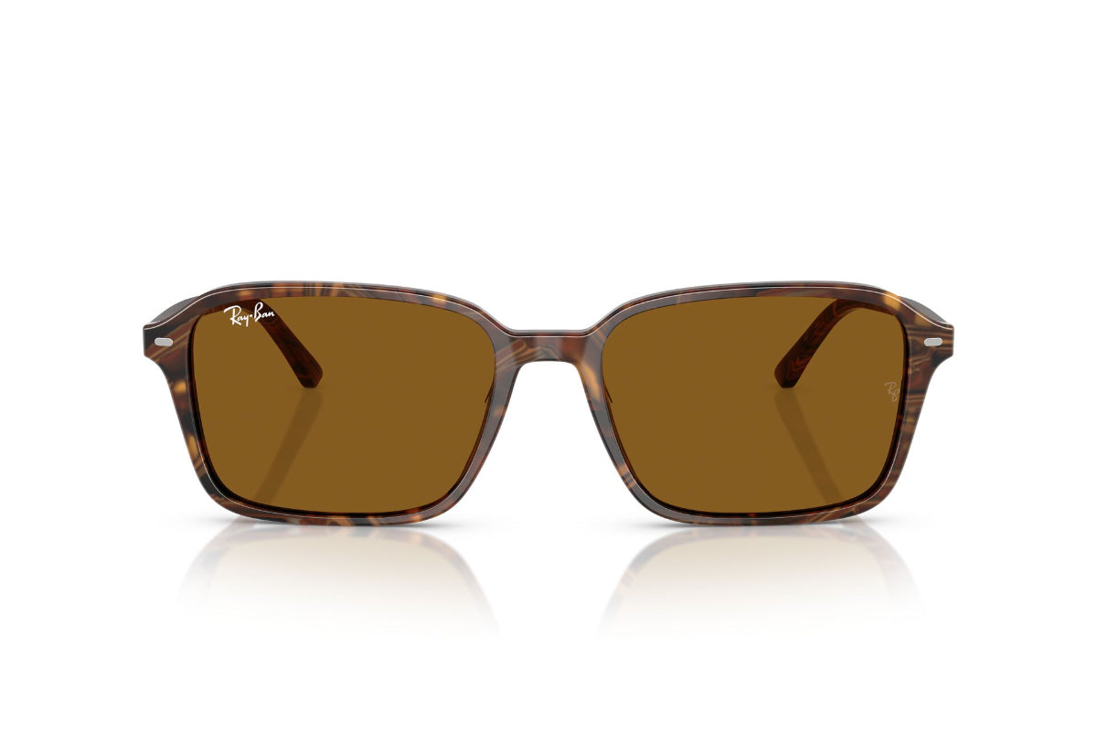 Ray-Ban Lentes de Sol Raimond RB2231