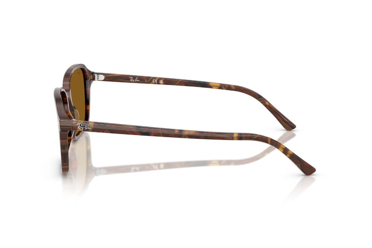 Ray-Ban Lentes de Sol Raimond RB2231