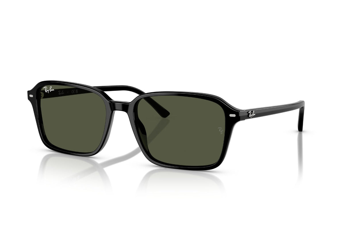 Ray-Ban Lentes de Sol Raimond RB2231