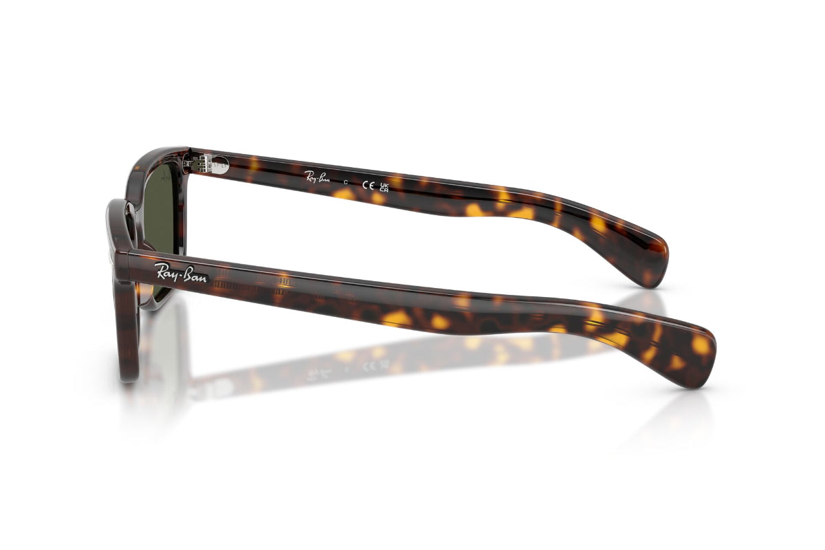 Ray-Ban Lentes de Sol Brunel RB2234