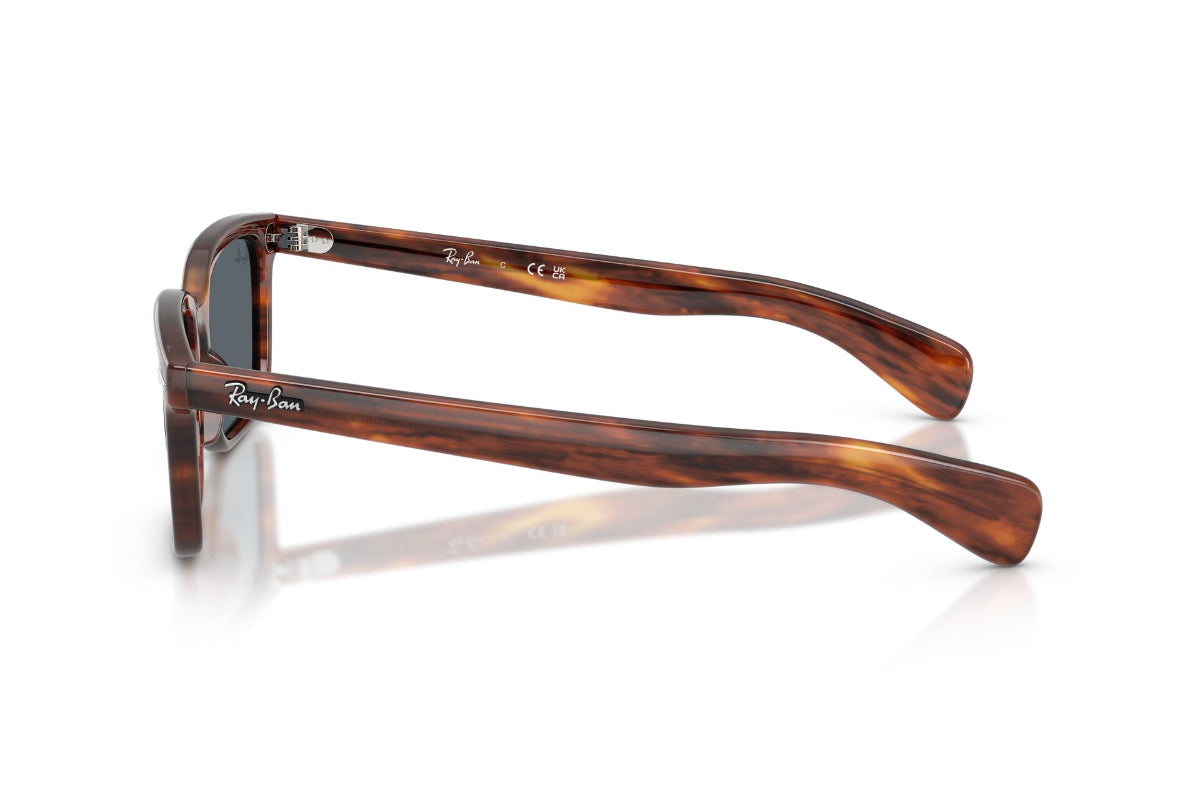 Ray-Ban Lentes de Sol Brunel Antireflejos RB2234