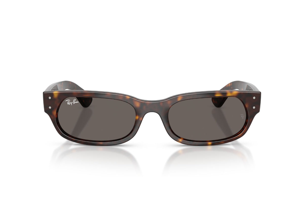 Ray-Ban Lentes de Sol RB2236