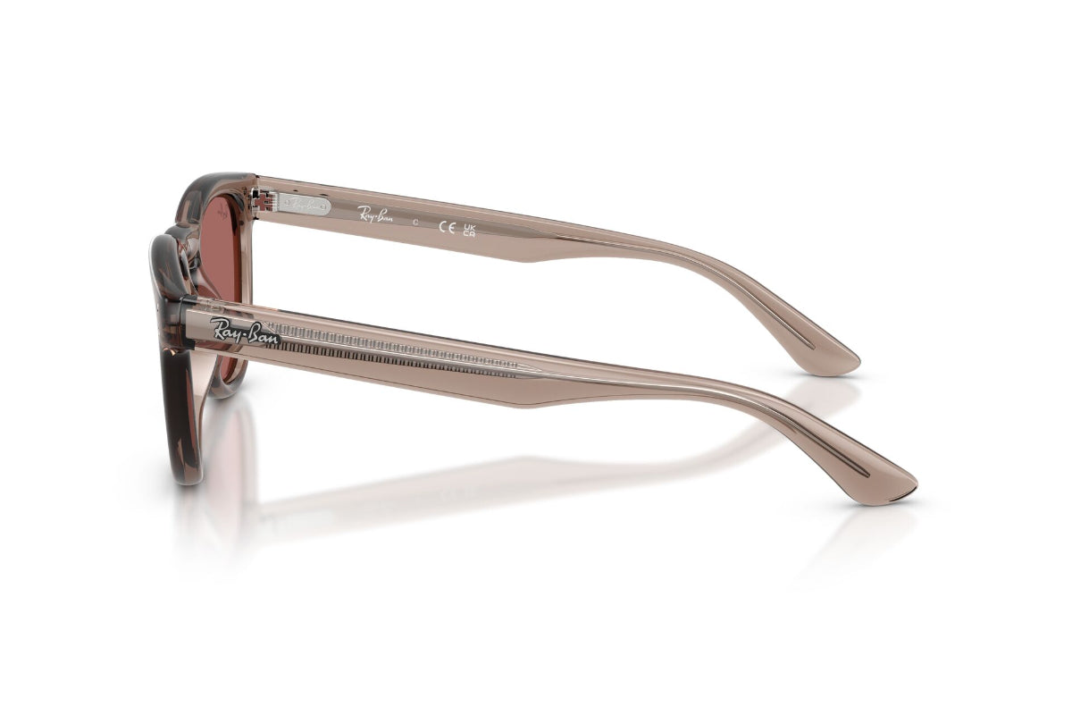 Ray-Ban Lentes de Sol RB2237