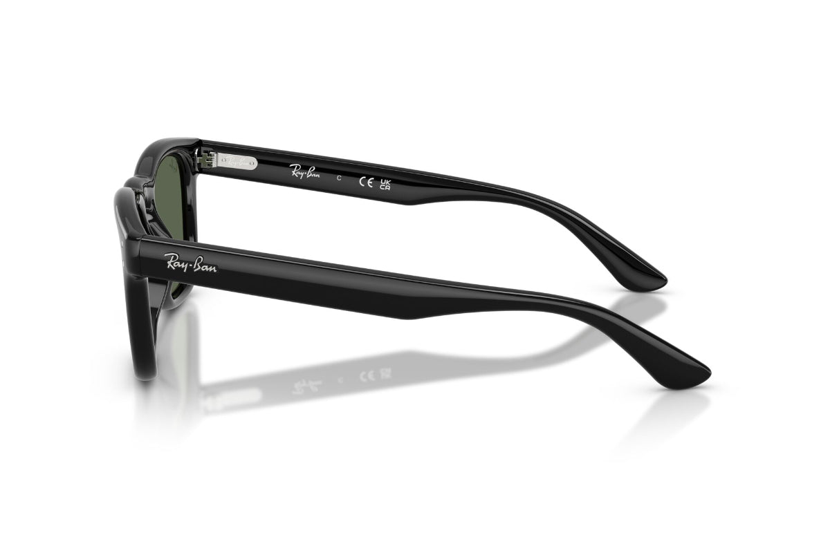 Ray-Ban Lentes de Sol RB2238