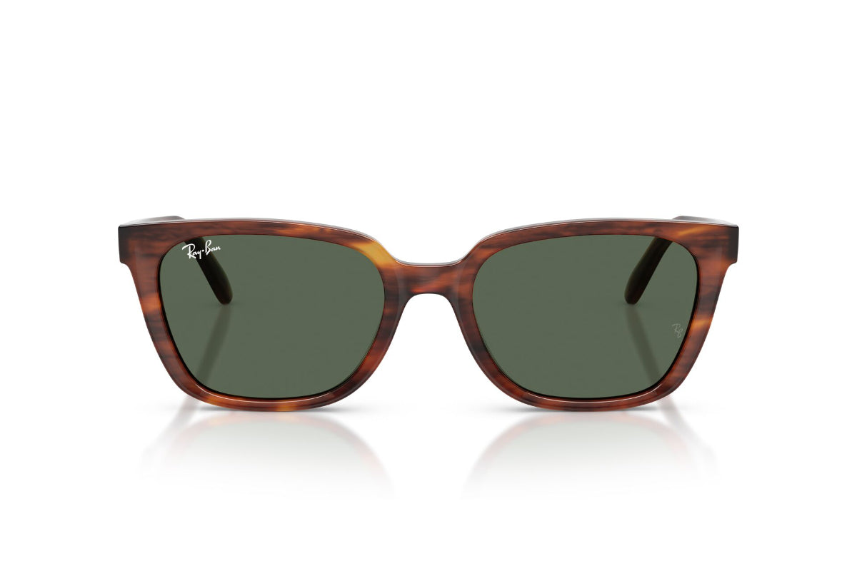Ray-Ban Lentes de Sol RB2243D