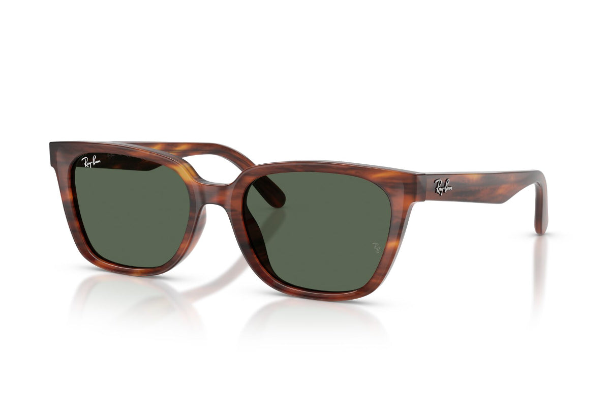 Ray-Ban Lentes de Sol RB2243D