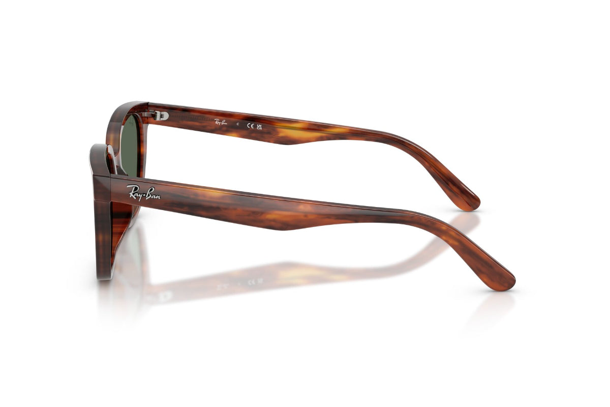 Ray-Ban Lentes de Sol RB2243D