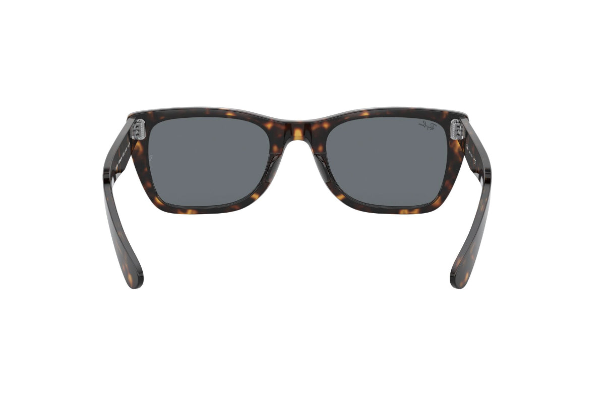 Ray-Ban Lentes de Sol Caribbean RB2248