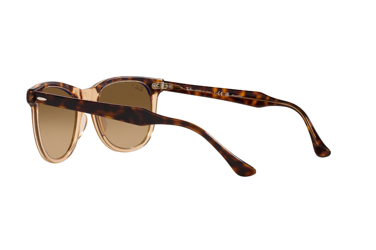 Ray-Ban Lentes de Sol Eagleeye Polarizados RB2398